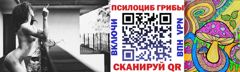 наркошоп  Сорочинск  Псилоцибиновые грибы Psilocybe 